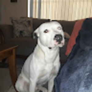 Meet your Posher, Jaron